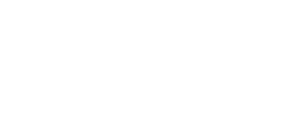 شركة نيبولا نيكزس التجارية ذ.م.م